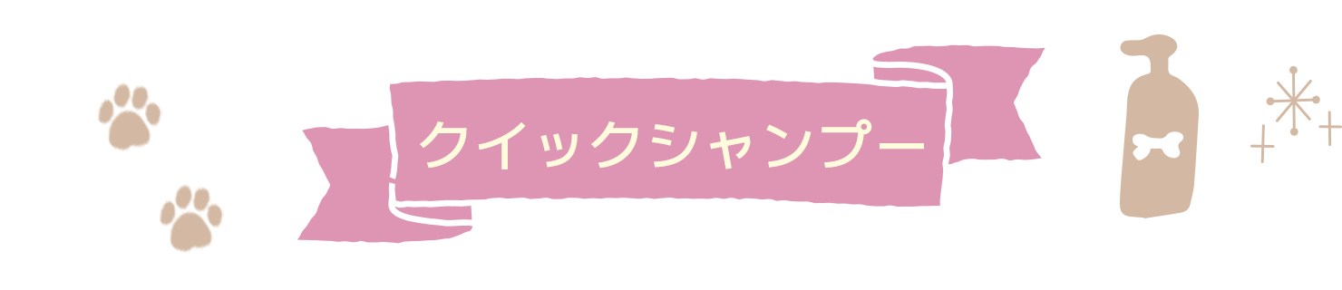 クイックシャンプー